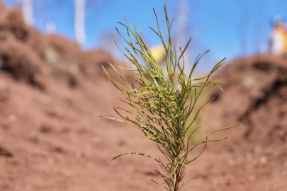 Uludağ Elektrik dijitalleşme çalışmalarıyla doğaya katkı sağlıyor