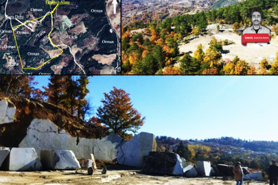 Mahkeme iptal etmişti: Bursa'da orman arazisine mermer ocağına ikinci onay!