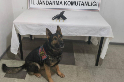 Bingöl'de uyuşturucu ve ruhsatsız silah operasyonu