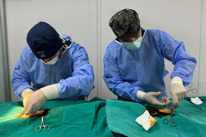 Bursa Osmangazi’de kedi popülasyonu kontrol altında