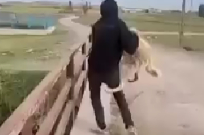 Eskişehir'de köpeği köprüden suya atan 2 kişi hakkında işlem yapıldı