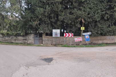 Hatay’da vatandaşlara saldıran köpek kuduz çıktı