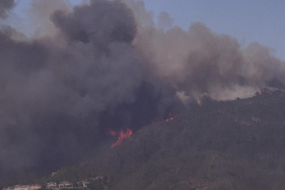 Los Angeles'ta yangın: Binlerce kişi tahliye edildi