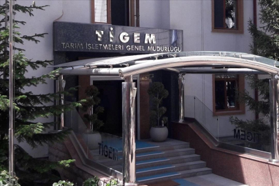 TİGEM 69 ziraat mühendisi alacak