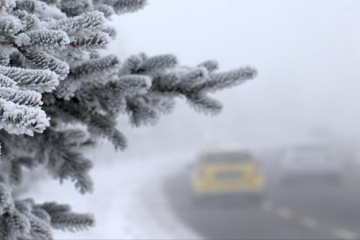 Aralıkta Erzurum kışı, Kastamonu yazı yaşadı