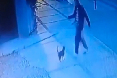 Kediyi tekme atarak yaralayan caniye ev hapsi cezası