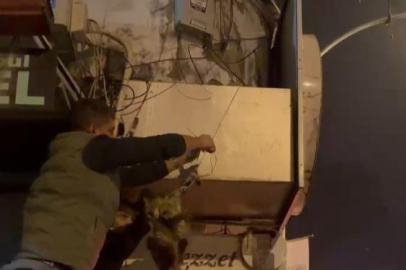 Bursa'da kabloya dolanan kediyi böyle kurtardılar!