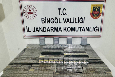 Bingöl’de aranan 2 şahıs yakalandı