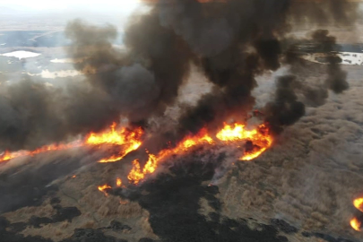 Kayseri'de 250'den fazla kuşa ev sahipliği yapan Sultan Sazlığı'nda yangın