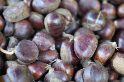 Kilosu 300 lirayı bulan kestaneye rağbet yok