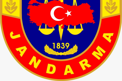 Kırşehir'de Jandarma 2024'te yüzde 96 başarıyla operasyon yaptı