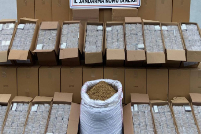 Kocaeli'de 1 milyon 220 bin boş ve dolu makaron ele geçirildi