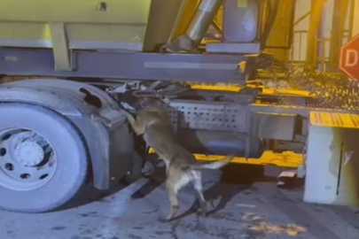 Batman’da tırda 3 kilo uyuşturucu ele geçirildi