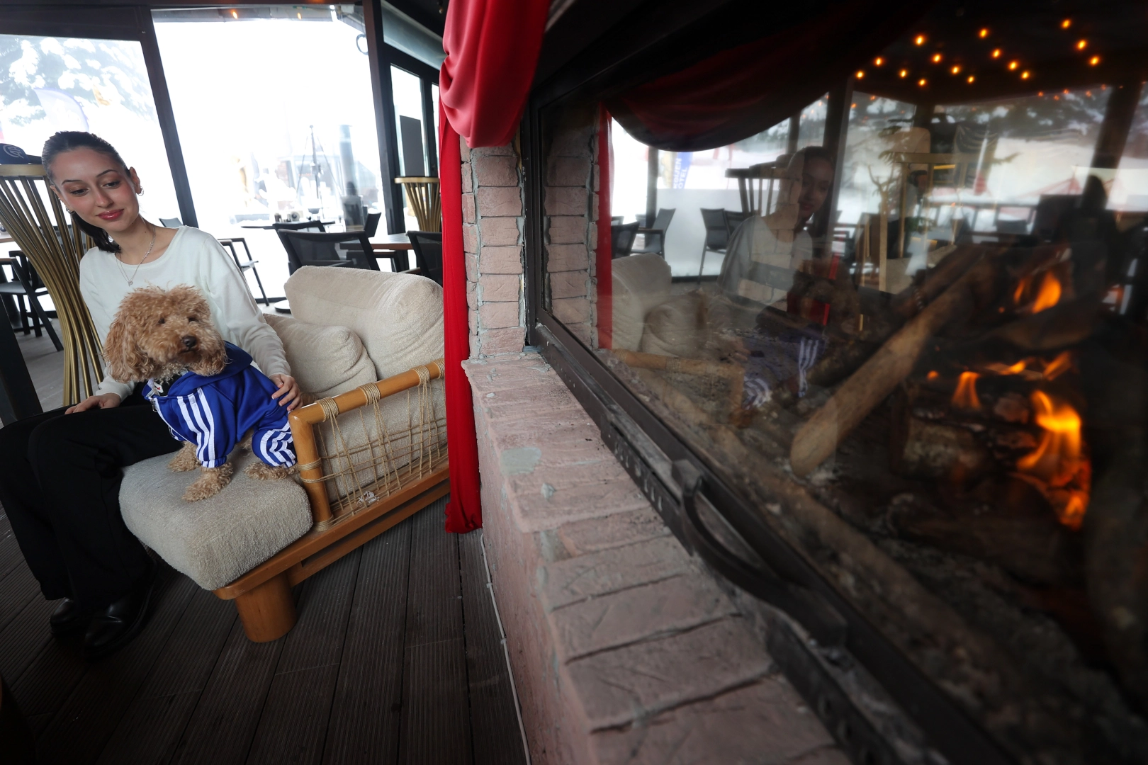 Bursa'daki  bu otelde sadece evcil hayvanlar konaklıyor!