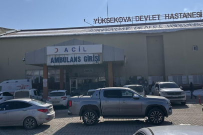 Hakkari'de başıboş köpeklerin saldırdığı çocuk hayatını kaybetti