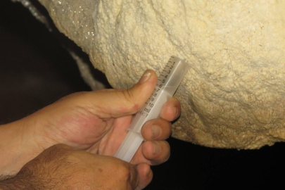 Türkiye'de ilk defa "Ay sütü" bakterisi bulundu