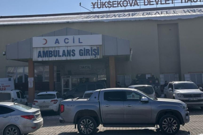 Başıboş köpeklerin saldırısıyla ölen çocuk olayında müfettiş görevlendirildi