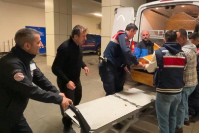 Kocaeli'de ormanlık alanda korkunç cinayet: Dili ve kulakları kesildi