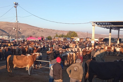 Yozgat’ta üç ilçede hayvan pazarları geçici olarak kapatıldı
