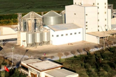 Dev yem şirketi iflasını açıkladı!