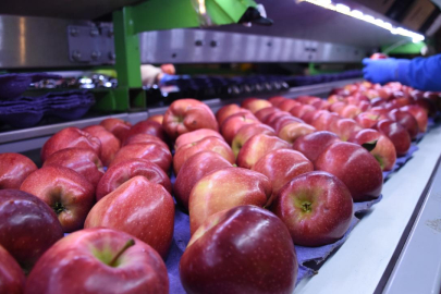 Devlet desteğiyle kurduğu tesisle 21 ülkeye ihracat yapıyor