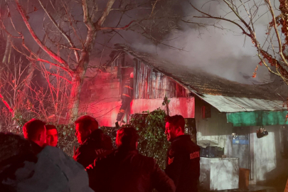 Bolu'da ev ve ahır alev alev yandı: 4 hayvan telef oldu