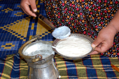 Silifke yoğurdu AB'den coğrafi işaret tescili aldı