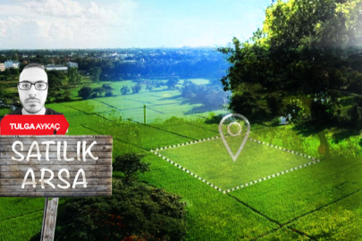 Bursa'da icrada satılık arsalar! Sudan ucuz: 18 bin TL...