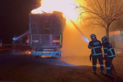 Diyarbakır'da seyir halindeki tırın dorsesinde yangın