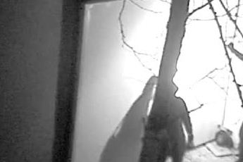 Hollanda’da hırsızlar patlayıcı kullanarak müze soydu