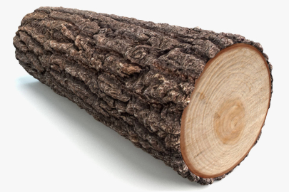 Nevşehir’de kardeş cinayeti