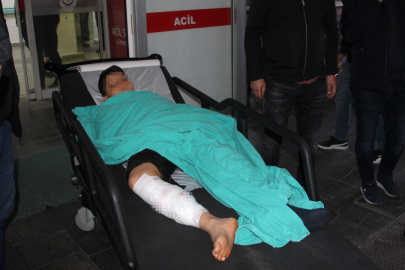 Pikniğe giden çocuğa başıboş köpekler saldırdı