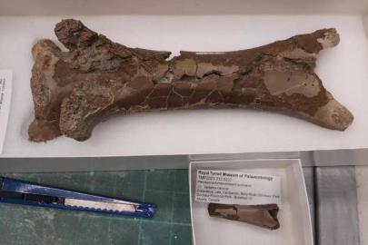 76 milyon yıllık "cinayet" çözüldü