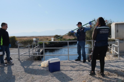 İzmir Körfezi ve dereleri kirleten İZSU'ya 8,3 milyon TL ceza