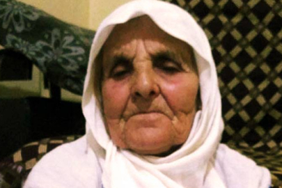 85 yaşındaki kadını öldüren köpeklerin sahibine 4 yıl 5 ay hapis