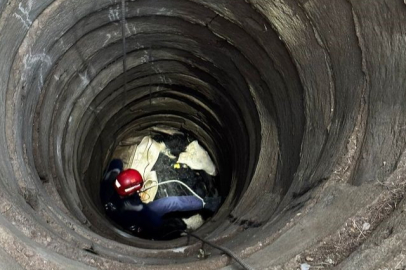 Balıkesir'de kuyuya düşen büyükbaş hayvan vinçle kurtarıldı