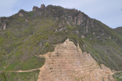 Bakanlık maden ocağına onay verdi: 7 binden fazla ağaç kesilebilir!