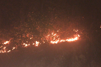 Rize'de orman yangınını söndürme çalışmaları sürüyor