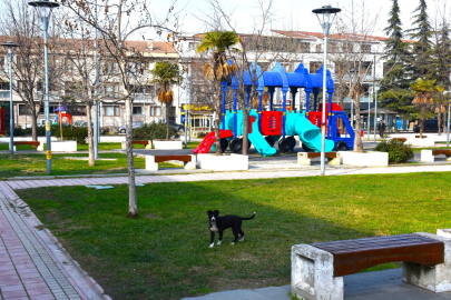 Bursa Gemlik'te çevre düzenleme çalışmaları devam ediyor