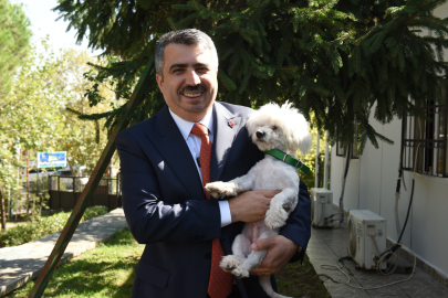 Bursa Yıldırım Belediyesi can dostlar için tonlarca mama alacak