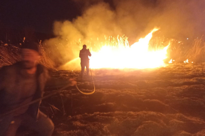 Malatya'da sazlık yangını