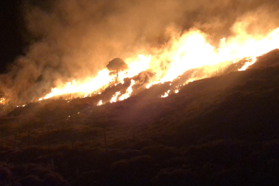 Çanakkale Gökçeada'da otluk alanda korkutan yangın