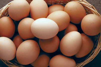 On binlerce dolarlık yumurta çalındı!