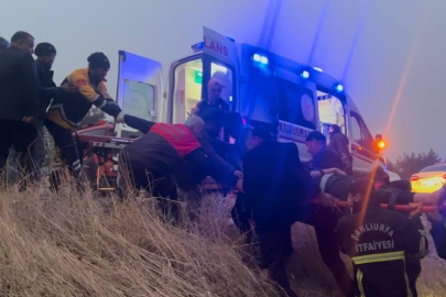 Şanlıurfa'da otomobil ağaca çarptı