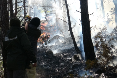 Antalya'daki orman yangını kontrol altına alındı, 2 hektar alan zarar gördü