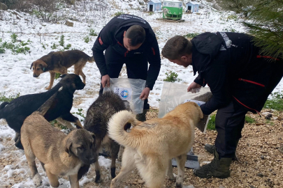 Bursa'da Mudanya Belediyesi'nden kar mesaisi