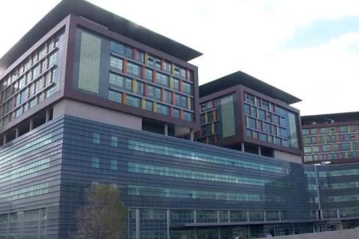 Bakanlık duyurdu: Hastane bahçelerinde sahipsiz hayvan bulunmayacak!