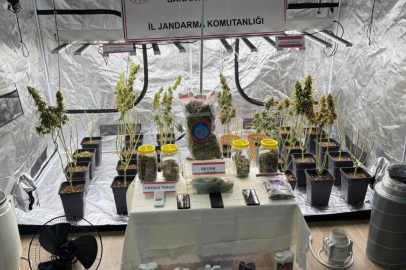 Sakarya'da  evin odasına sera kurup, çamaşırlığa uyuşturucu asmışlar