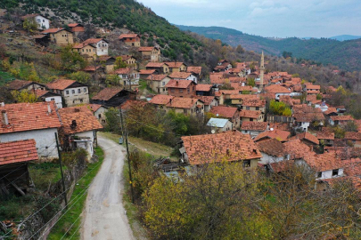 Türkiye'de şehirleşme artıyor, kırsal nüfus azalıyor