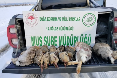 Muş'ta kaçak avcılara ağır ceza